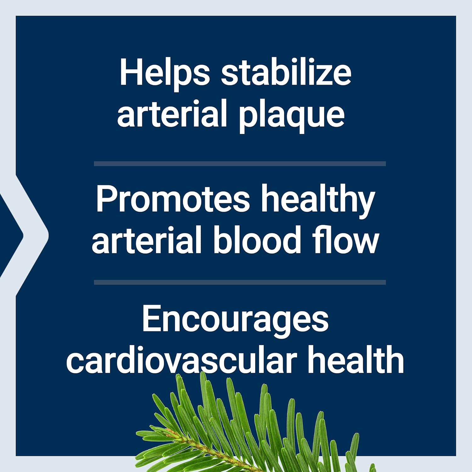 Life Extension Arterial Protect - widok 4